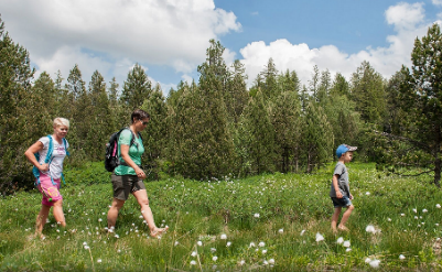 Krummenau: Moorweg Wolzenalp
