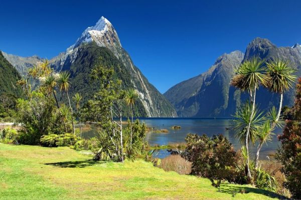 Vortrag Neuseeland