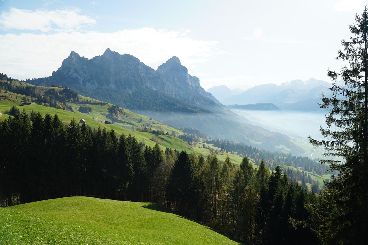 Mostelberg