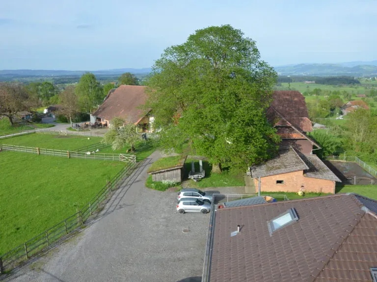 Chrummbaum, Hellbühl