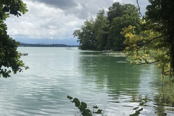 Besuch Hallwilersee 05.08.2021