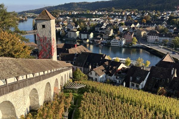Vereinsreise Schaffhausen, Hallau 14.-15.10.2025