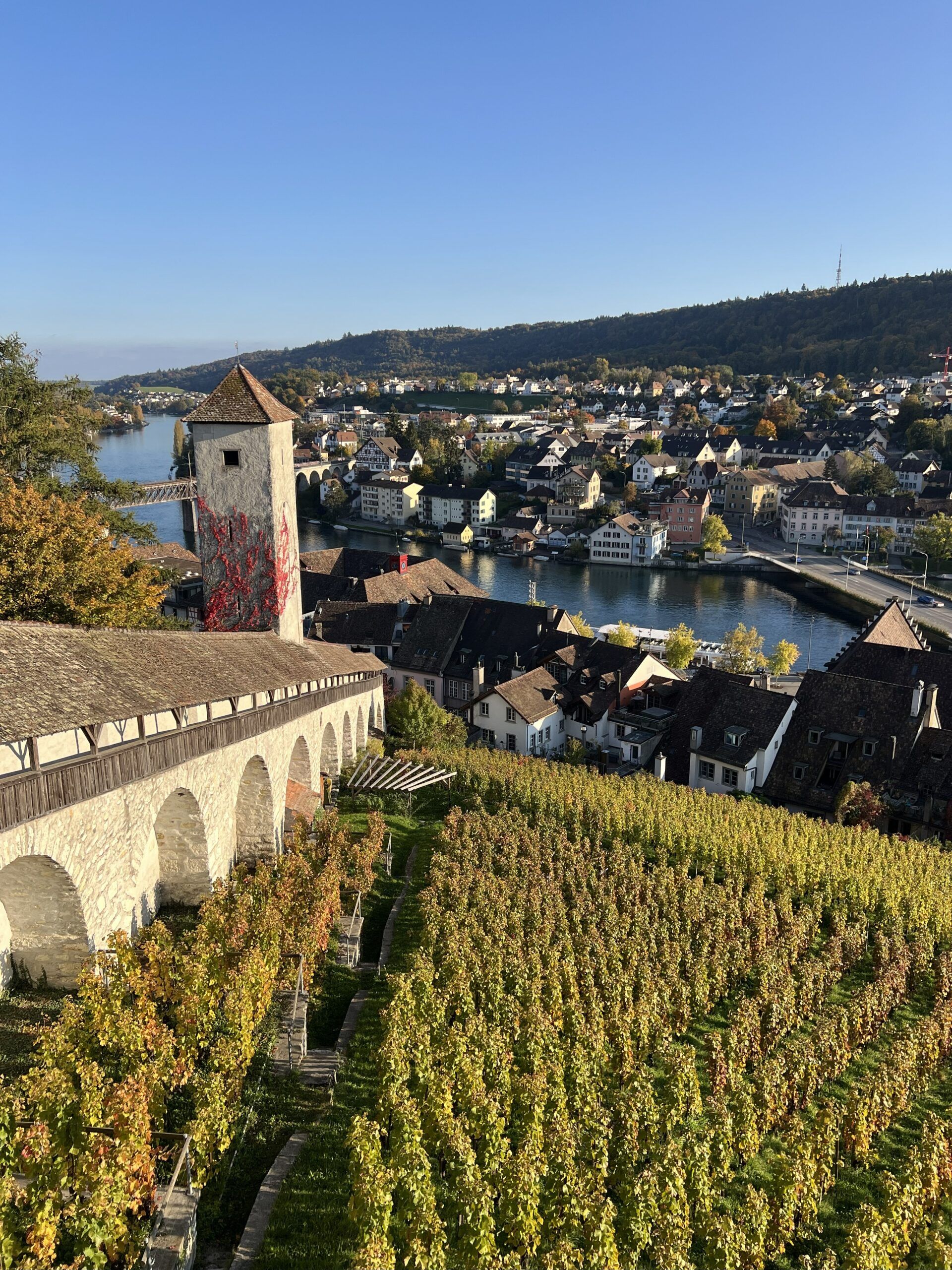 Vereinsreise Schaffhausen, Hallau 14.-15.10.2025