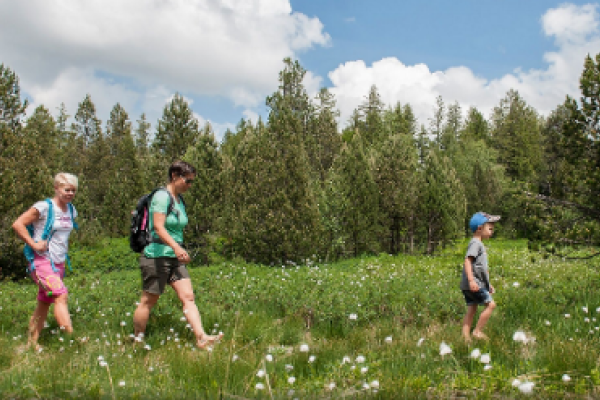 Krummenau: Moorweg Wolzenalp