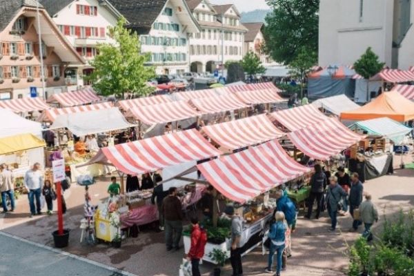 Kräuter- und Wildpflanzenmarkt