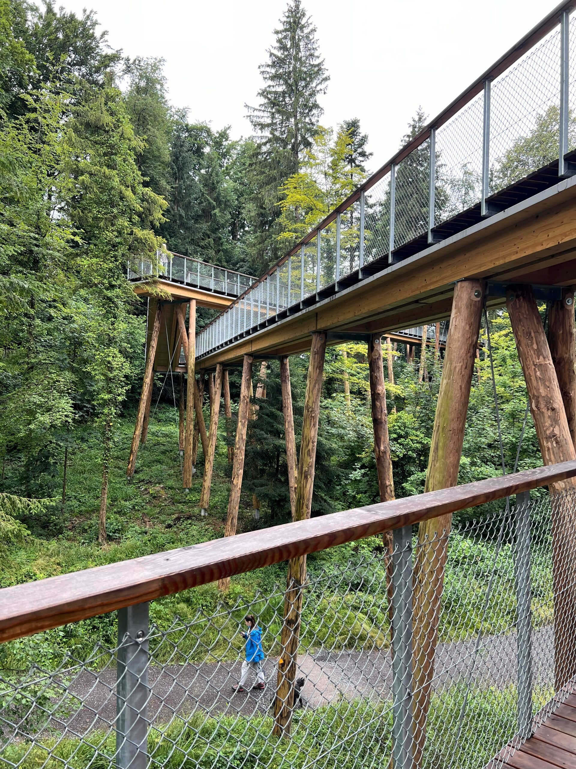 Baumwipfelpfad Baar 07.07.2025