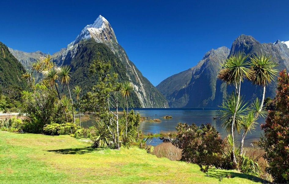 Vortrag Neuseeland