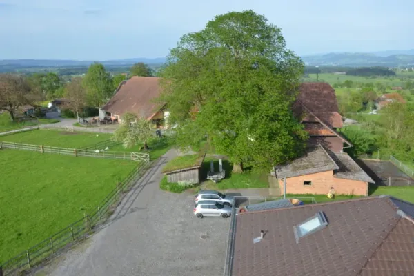 Chrummbaum, Hellbühl