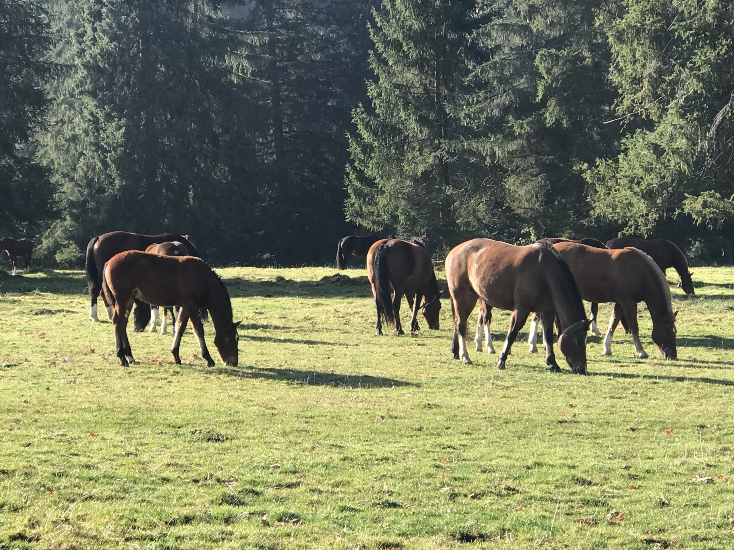 Vereinsreise Jura 26.-27.10.2021