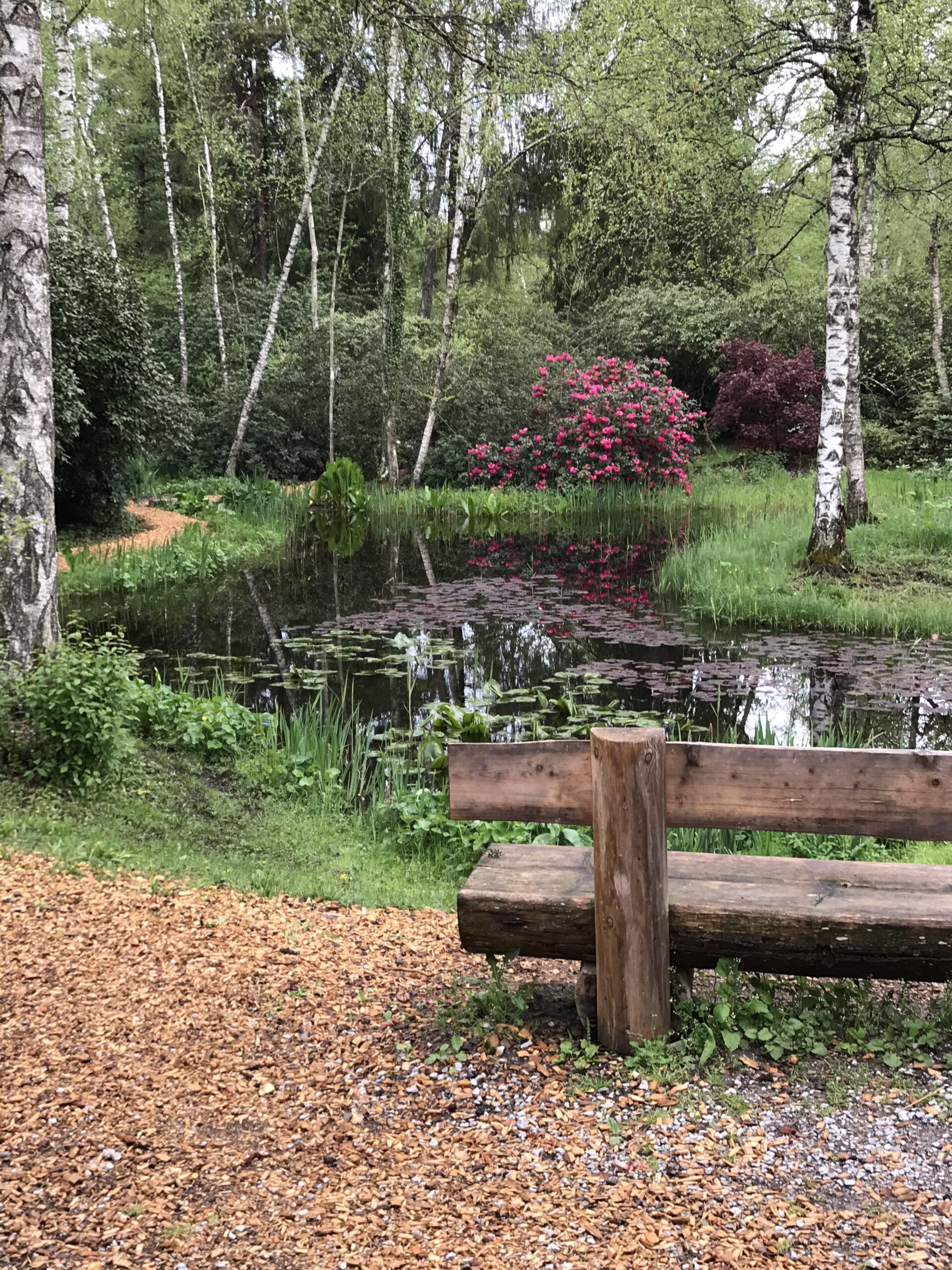 Besuch Seleger Moor 12. Mai 2021