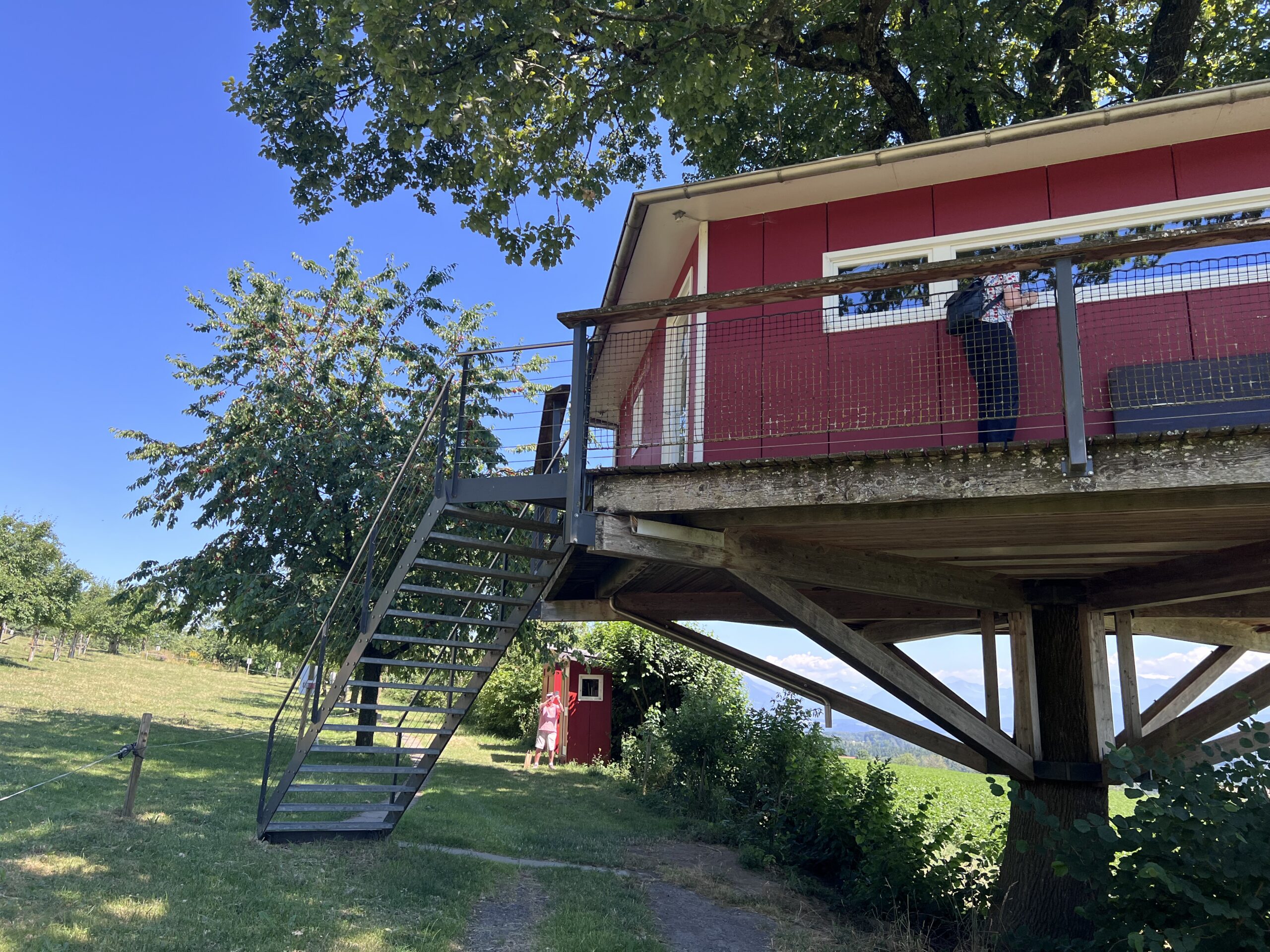 IMG 7555