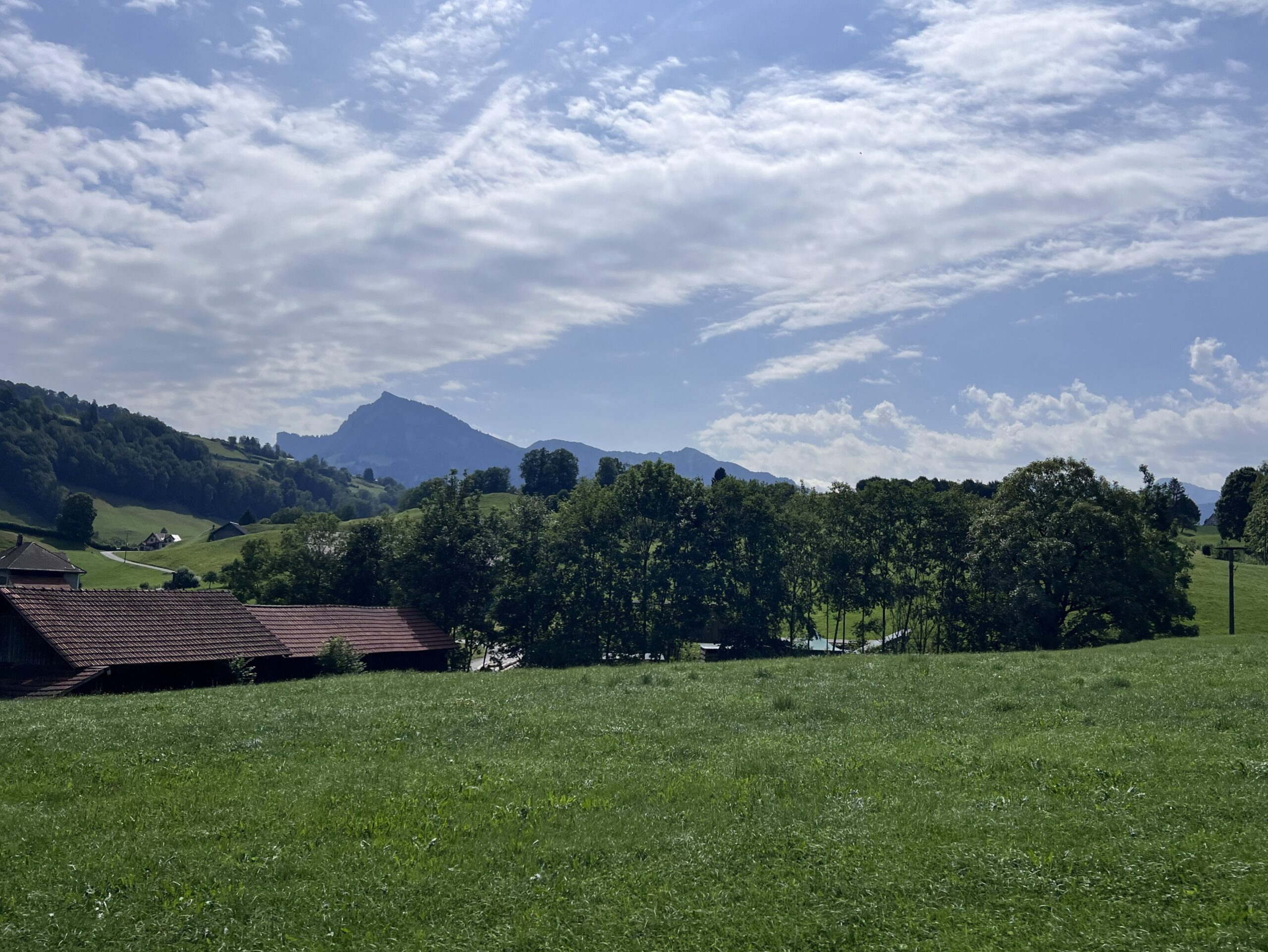 IMG 7597