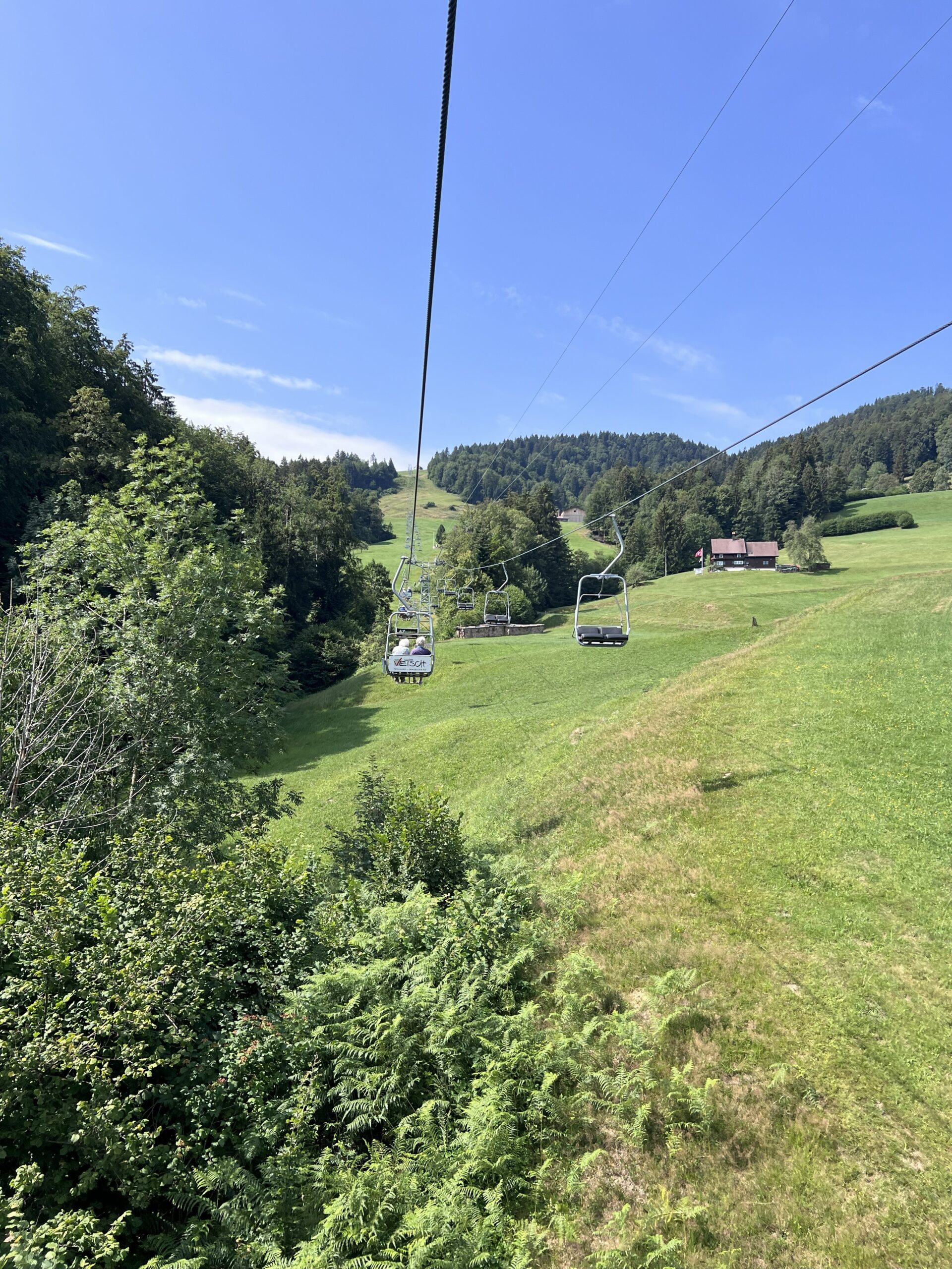 IMG 7598