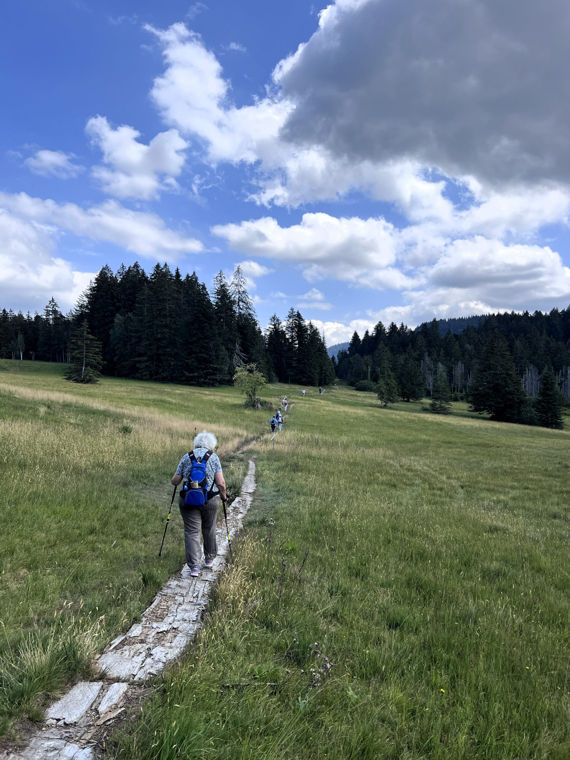 Wolzenalp 21.07.2026