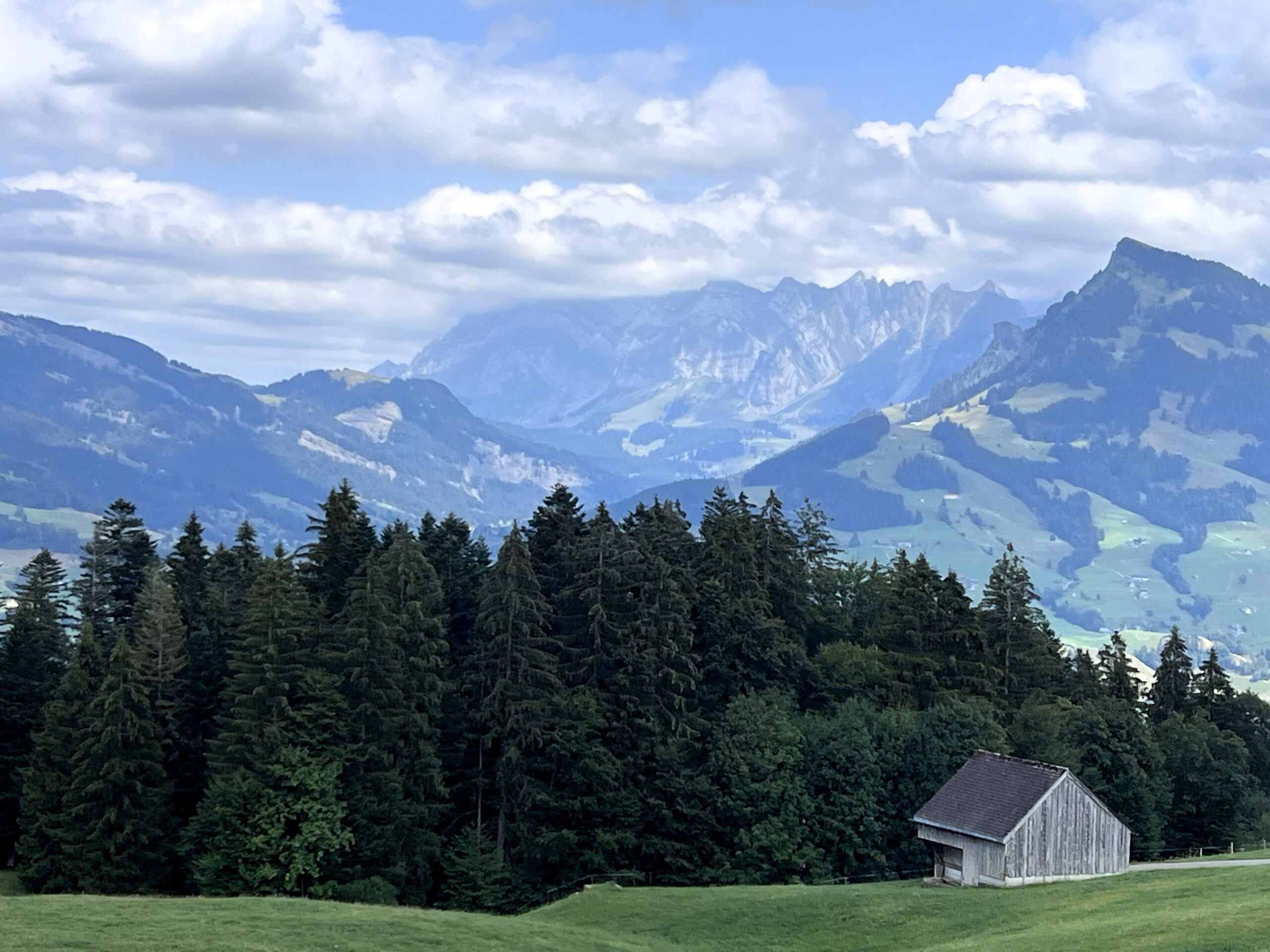 IMG 7616