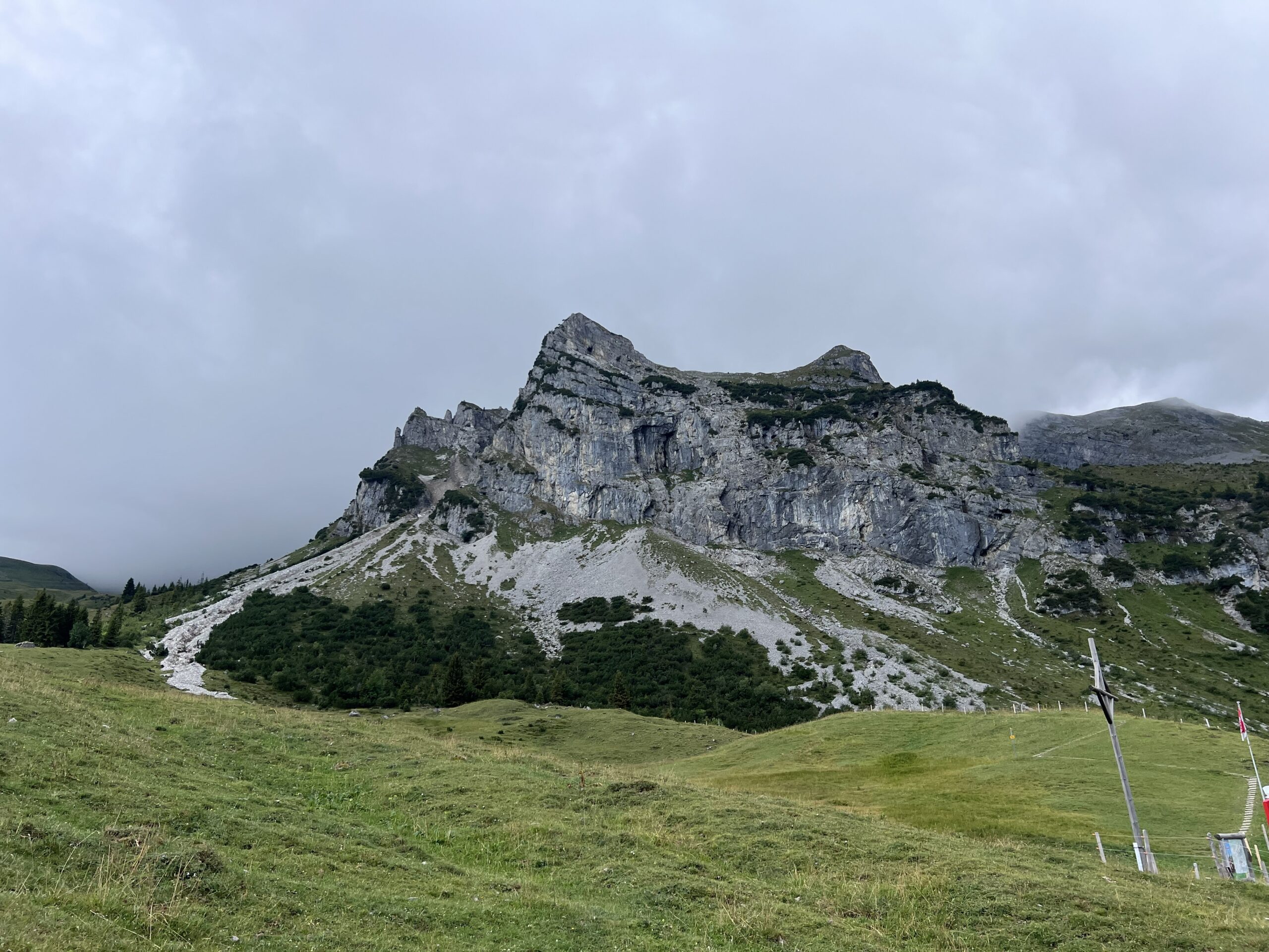 IMG 7745