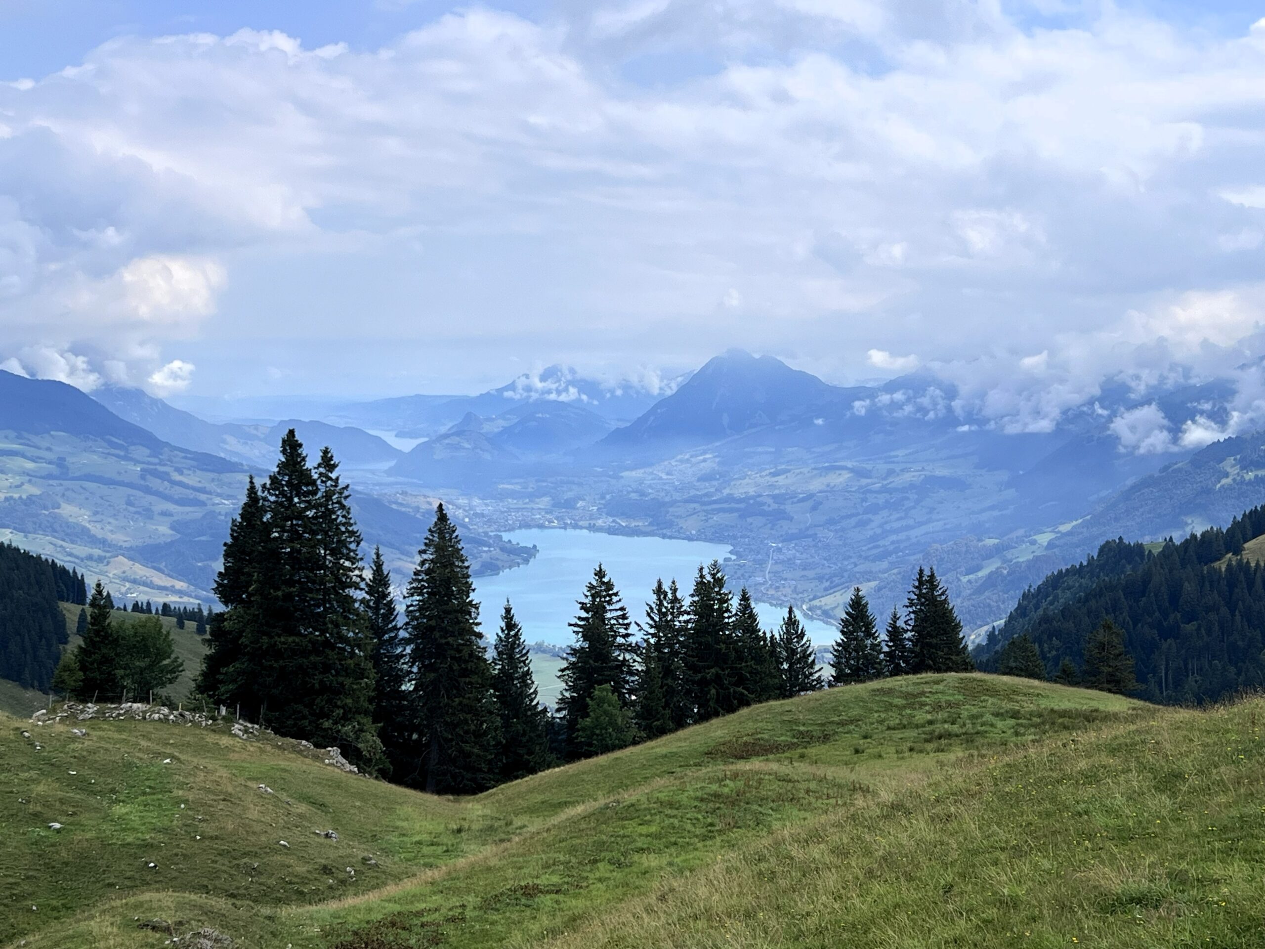 IMG 7753
