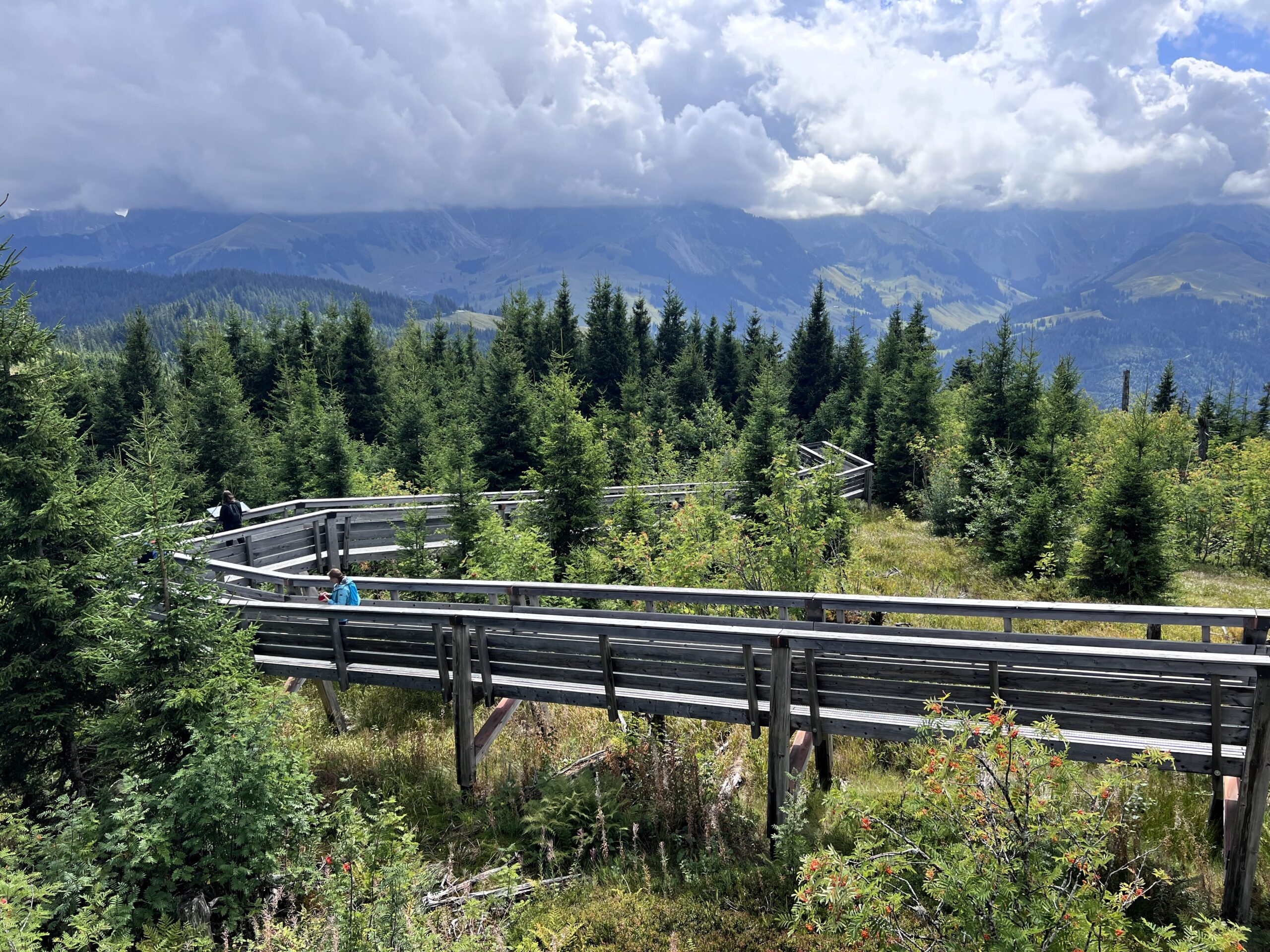 Naturpark Gantrisch 22.08.2026