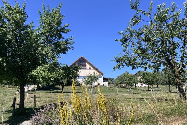 Archehof, Hildisrieden 09.07.2026