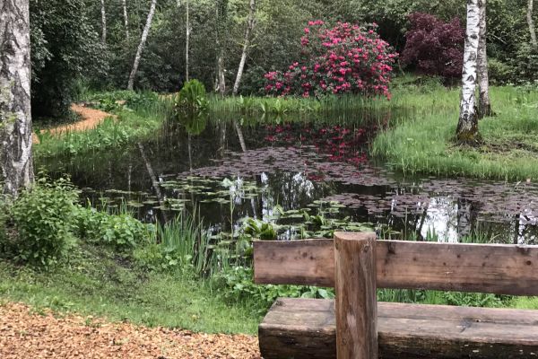 Besuch Seleger Moor 12. Mai 2021