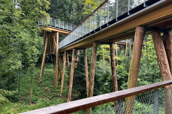 Baumwipfelpfad Baar 07.07.2025