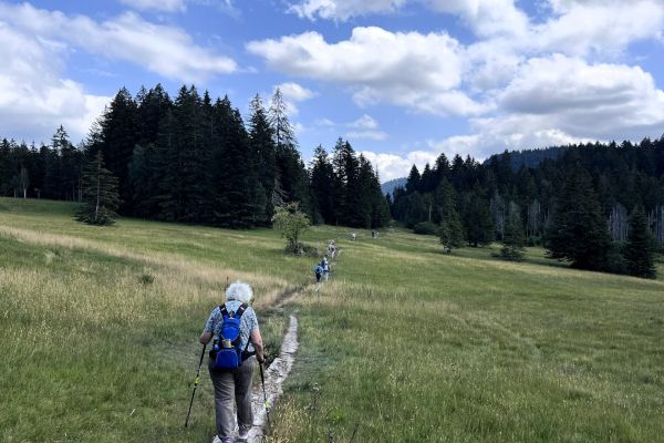 Wolzenalp 21.07.2026